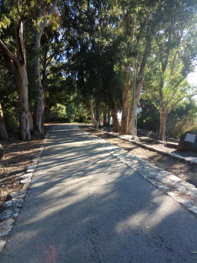 Apartamento אצלנו - בגליל העליון Kiryat Shemona Exterior foto